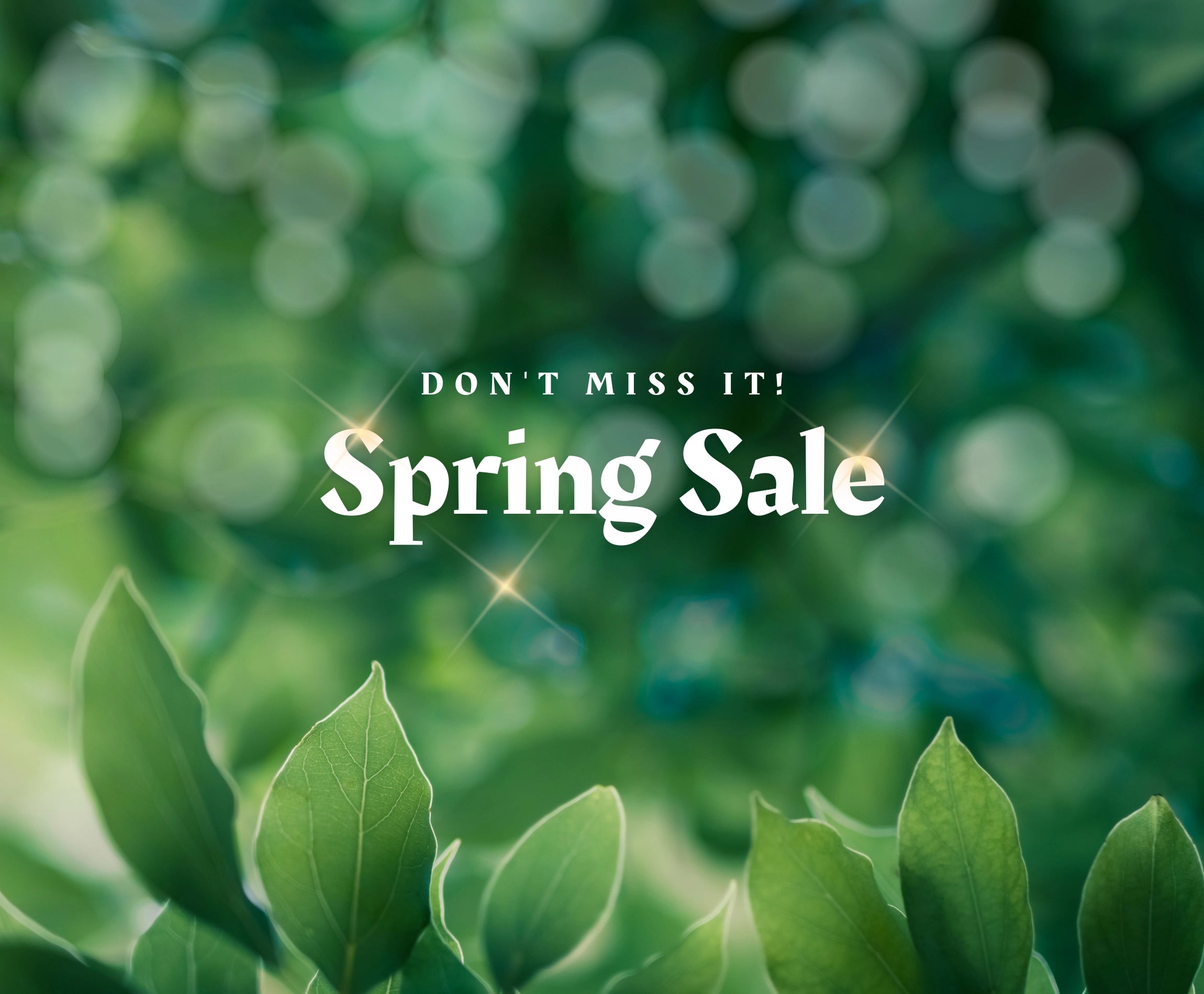 Spring Sale 2026 Web Banner