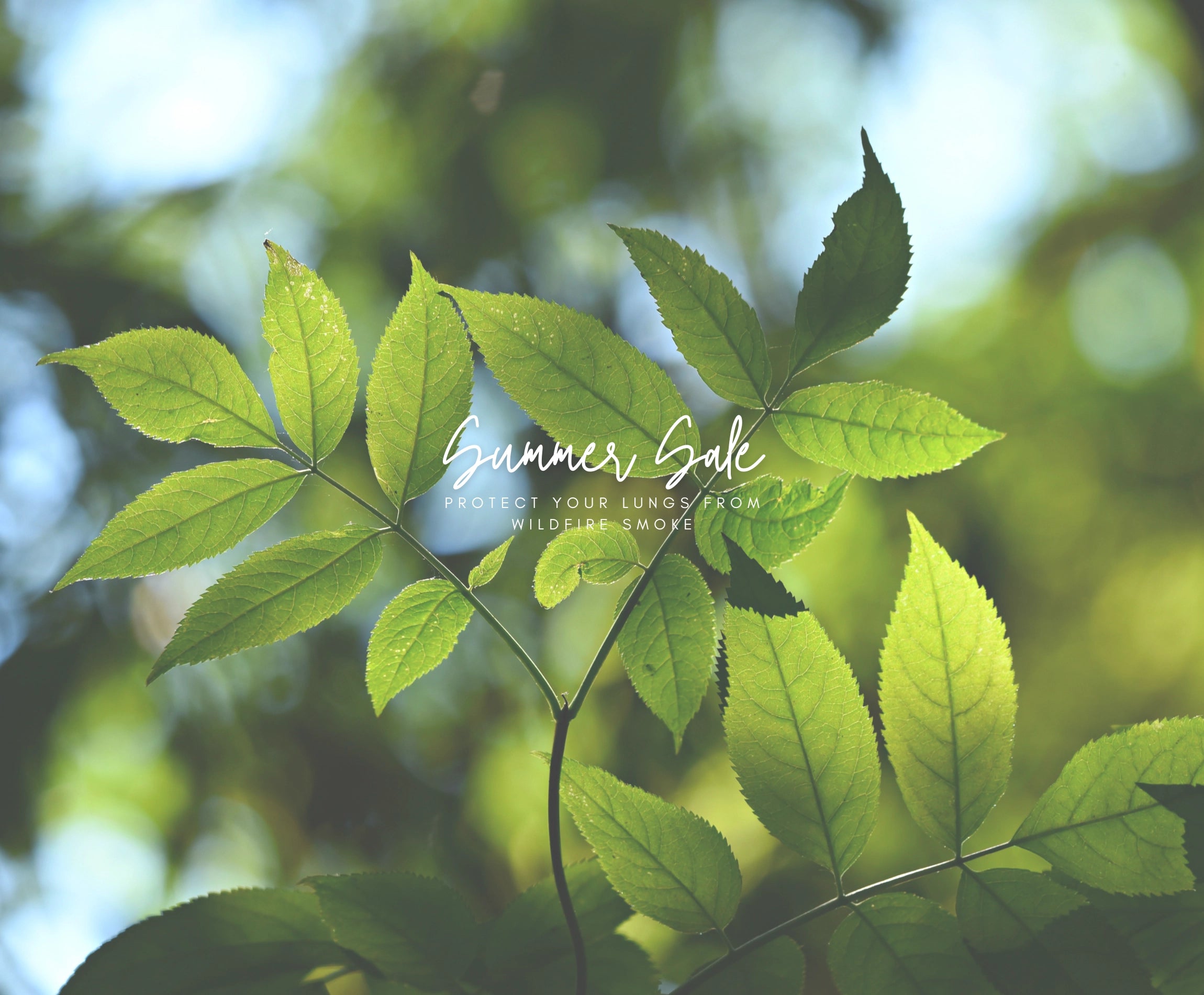 Summer Sale Web Banner